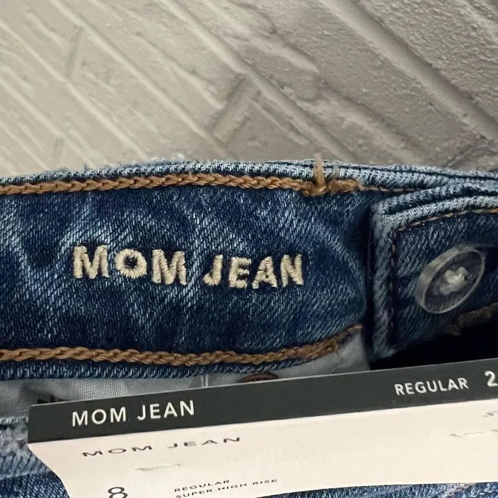 NWT American Eagle Strigid Patched Mom Jean Size 8